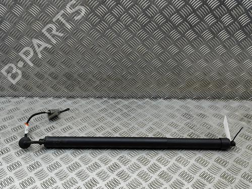 Used Tailgate lift support LAND ROVER DISCOVERY V (L462) D300 MHEV 4x4 (300 hp) 30644233