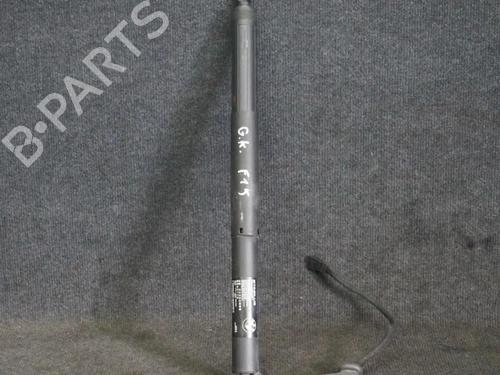 Tailgate lift support BMW X5 (F15, F85) xDrive 30 d | BP14653024C138 