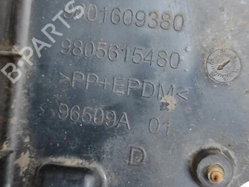 Wheel arch CITROËN C4 CACTUS 1.6 BlueHDi 100 | BP29975312C56 