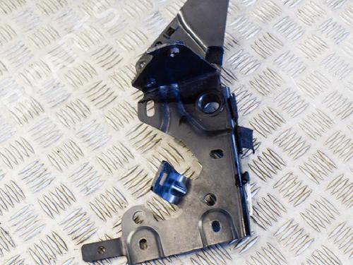 Hinge/Door check strap AUDI A7 Sportback (4GA, 4GF) 3.0 TDI quattro | BP14613886C146