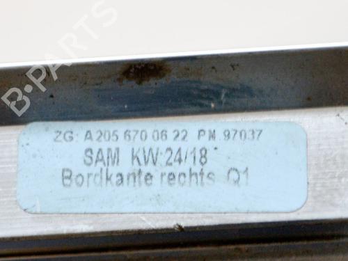 Door moulding trim MERCEDES-BENZ C-CLASS Coupe (C205) C 300 (205.348) | BP20231820C150 