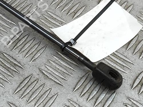 Tailgate lift support MERCEDES-BENZ A-CLASS (W176) A 180 CDI / d (176.012) | BP22443257C138 
