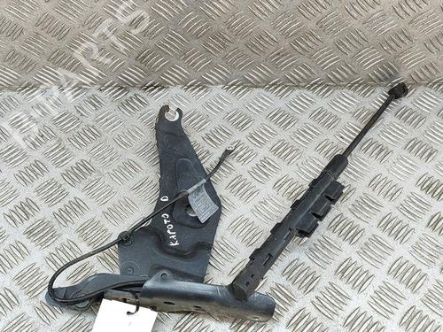 Hinge/Door check strap BMW X5 (E70) xDrive 40 d | BP19428018C146 