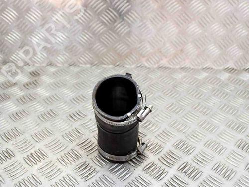 Pipe LAND ROVER RANGE ROVER EVOQUE (L538) 2.0 D 4x4 | BP9510380M125