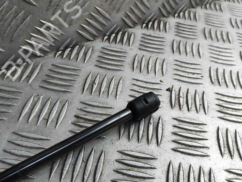 Tailgate lift support TOYOTA C-HR (_X2_, _H2_) Hybrid (MAXH20) | BP27795694C138