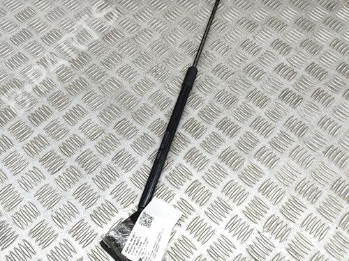 Tailgate lift support PEUGEOT 3008 II SUV (MC_, MR_, MJ_, M4_) 1.5 BlueHDi 130 | BP21487110C138 