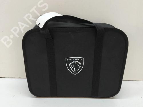 Cabo PEUGEOT 2008 II (UD_, US_, UY_, UJ_, UR_, UC_) e-2008 (UKZKXZ) (136 hp) 29042400