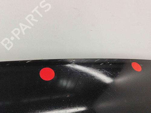 Hood VW CADDY III Box Body/MPV (2KA, 2KH, 2CA, 2CH) 2.0 SDI | BP29730646C1 