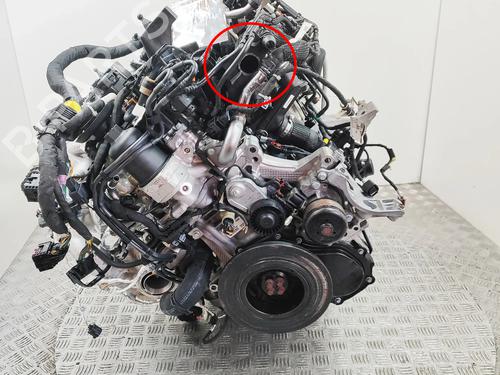 Engine LAND ROVER DISCOVERY V (L462) D300 MHEV 4x4 | BP33110220M1 - Image 3