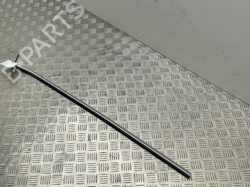 Door moulding trim BMW 7 (F01, F02, F03, F04) 730 d | BP18314119C150 