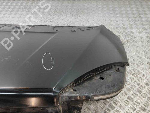 Tailgate RENAULT MEGANE CC (EZ0/1_) 1.6 dCi (EZ00) | BP29336824C6 