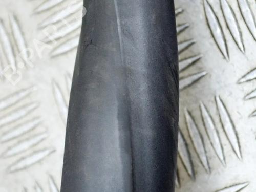  - Image 4