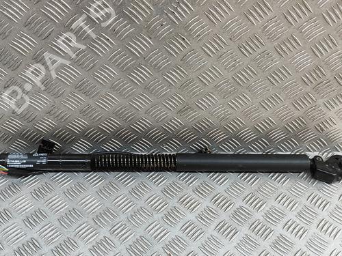 Used Tailgate lift support AUDI A7 Sportback (4GA, 4GF) 3.0 TDI (218 hp) 28438680