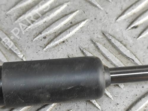 Hood lift support VW TOUAREG (7P5, 7P6) 3.0 V6 TDI | BP28955657C139 