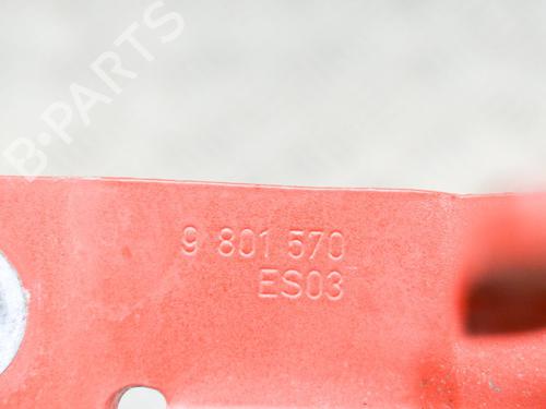 Hinge/Door check strap MINI MINI COUNTRYMAN (R60) Cooper | BP14628836C146 