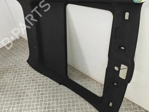 Tecto interior FIAT 500 (312_) 1.0 Mild Hybrid (312.AYD1B) | BP28566137I12