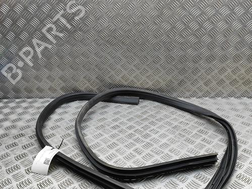 Goma contorno puerta FORD FOCUS III 1.0 EcoBoost (100 hp) 30837034