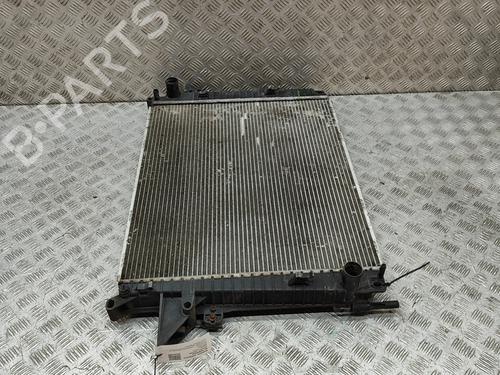 Water radiator LAND ROVER DISCOVERY III (L319) 2.7 TD 4x4 | BP30155014M31