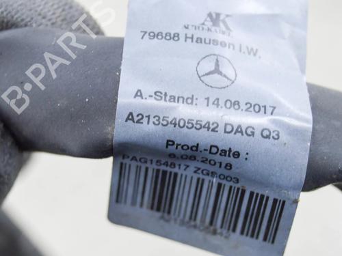  - Image 7