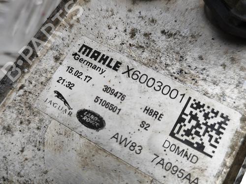 Oil radiator LAND ROVER DISCOVERY V (L462) 3.0 Td6 4x4 | BP30130720M33 