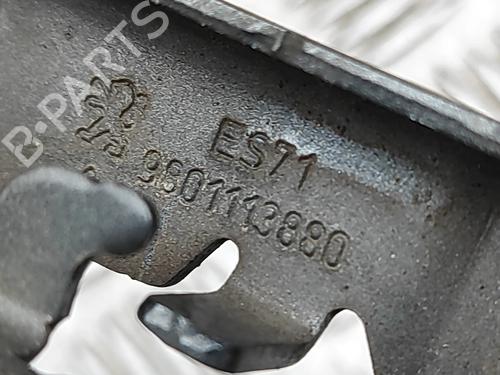 Hinge/Door check strap CITROËN C4 CACTUS 1.6 BlueHDi 100 | BP33376478C146  - Image 6