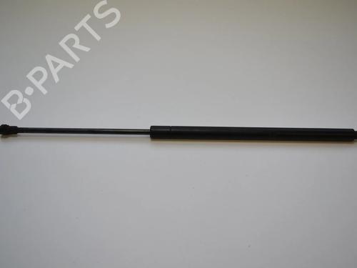 hood-lift-support-lexus-gs-_s19_-2005-2006-2007-2008-2009-2010-2011-2012-33361174 main image