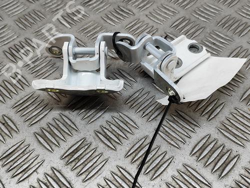 Hinge/Door check strap TOYOTA C-HR (_X2_, _H2_) Hybrid | BP27779635C146 
