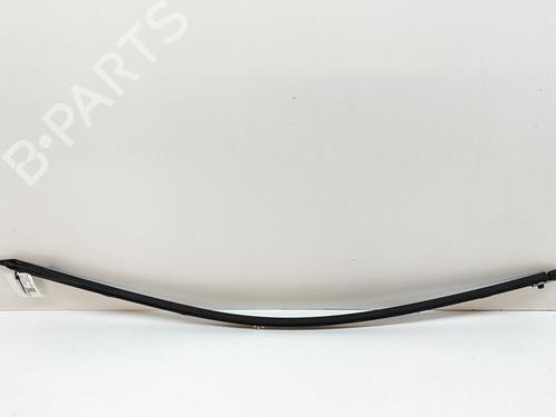 Door moulding trim MERCEDES-BENZ C-CLASS (W205) C 220 BlueTEC / d (205.002, 205.004) | BP24820170C150 