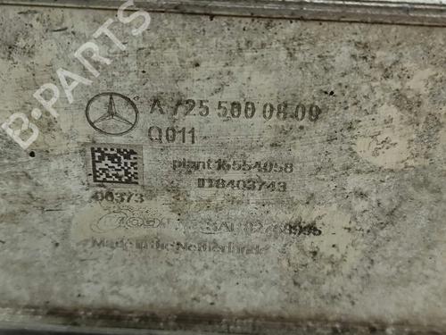 Oil radiator MERCEDES-BENZ GLC Coupe (C253) 300 4-matic (253.384) | BP27797871M33 
