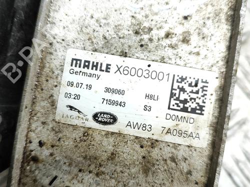 Oliekøler JAGUAR F-PACE (X761) 2.0 TD4 AWD | BP18036306M33