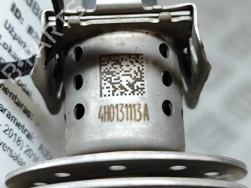 Injector AUDI A6 C7 Avant (4G5, 4GD) 3.0 TDI quattro | BP26311599M100 