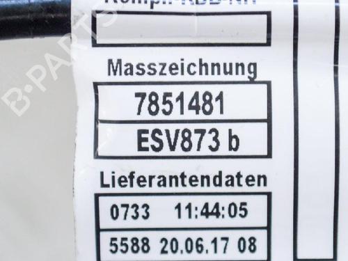 Wiring harness BMW 4 Coupe (F32, F82) M4 | BP14661303E16 