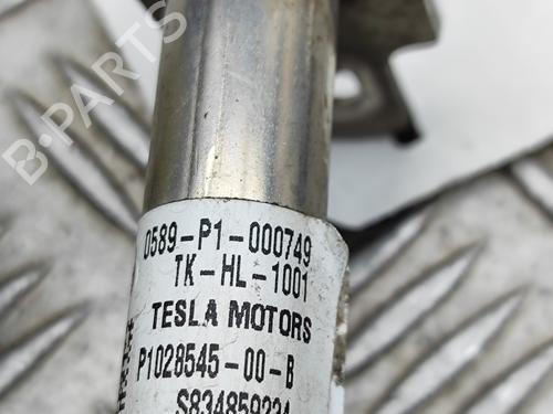 Electronic module TESLA MODEL S (5YJS) P100D AWD | BP30394340M83 