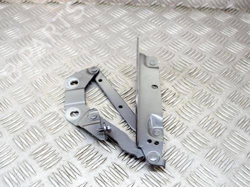 Hinge/Door check strap LAND ROVER RANGE ROVER EVOQUE (L538) 2.0 D 4x4 | BP14635876C146 