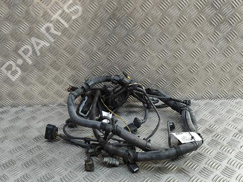 Used Wiring harness PORSCHE PANAMERA (970) 3.6 4 (300 hp) 27803867