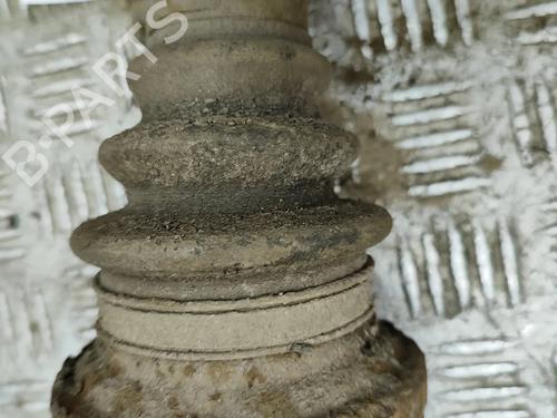  - Image 7