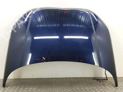 BP29730650C1 main image