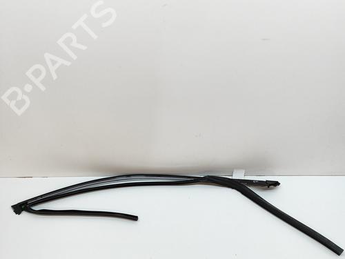 Door moulding trim BMW 5 (G30, F90) 530 e Plug-in Hybrid | BP17768080C150 