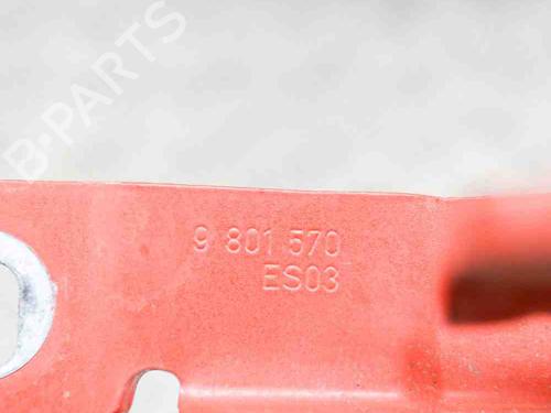 Hinge/Door check strap MINI MINI COUNTRYMAN (R60) Cooper | BP14628836C146 