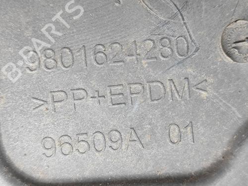 Wheel arch CITROËN C4 CACTUS 1.6 BlueHDi 100 | BP29975311C56 