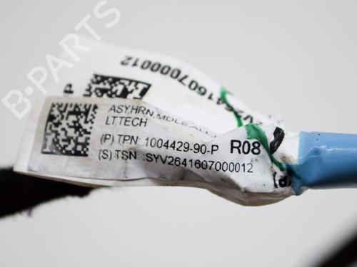 Ledningsnet TESLA MODEL S (5YJS) 75 | BP14631697E16 