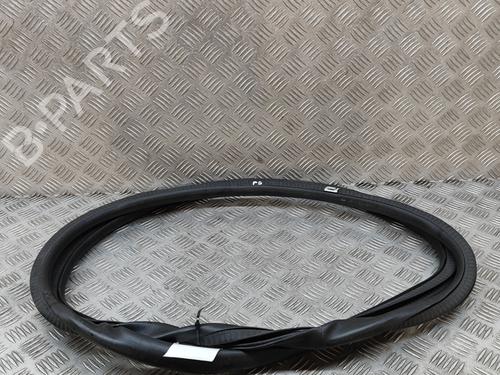 Rubber door seal FORD KUGA III (DFK) 2.5 FHEV | BP28562043C142