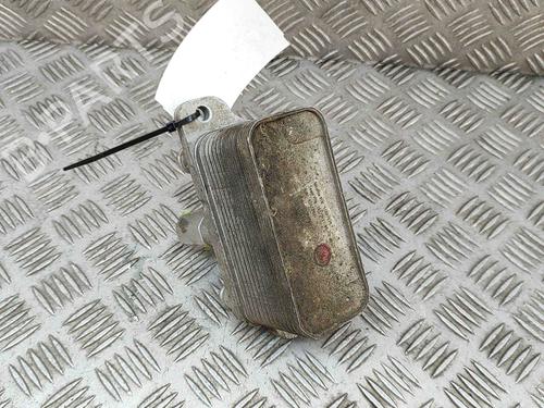 Electronic module TESLA MODEL X (5YJX) P100D AWD | BP19256038M83