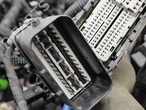 Engine FORD TRANSIT V363 Bus (FAD, FBD) 2.0 EcoBlue | BP23248479M1  - Image 7