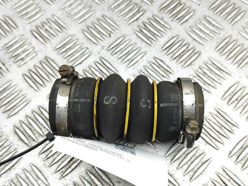 Used Pipe CITROËN C4 CACTUS 1.6 BlueHDi 100 (99 hp) 29975764