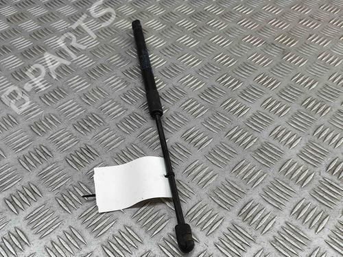 Hood lift support BMW X1 (F48) xDrive 20 d | BP29227431C139 