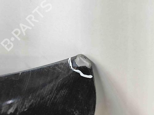 Hood LEXUS CT (ZWA10_) 200h (ZWA10_) | BP29637515C1 