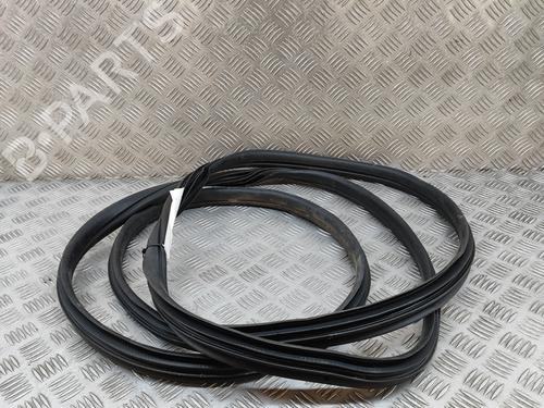 Rubber door seal OPEL MOVANO B Van (X62) 2.3 CDTI FWD (FV) | BP26311374C142 