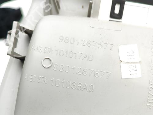 Interior roof light CITROËN C4 CACTUS 1.6 BlueHDi 100 | BP29975794I8 