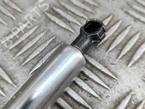 Tailgate lift support ASTON MARTIN VANTAGE Vantage 4.3 | BP28154124C138